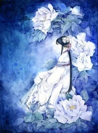 风月大陆(全)